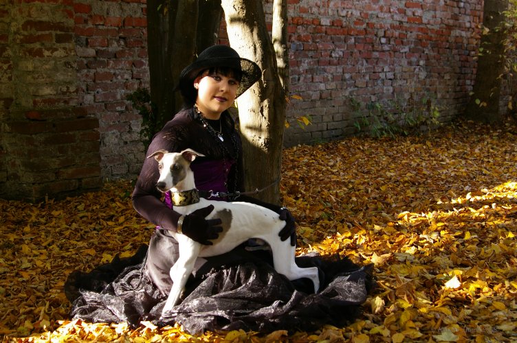 Picnic im Herbst