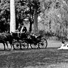 Picnic im Schlosspark