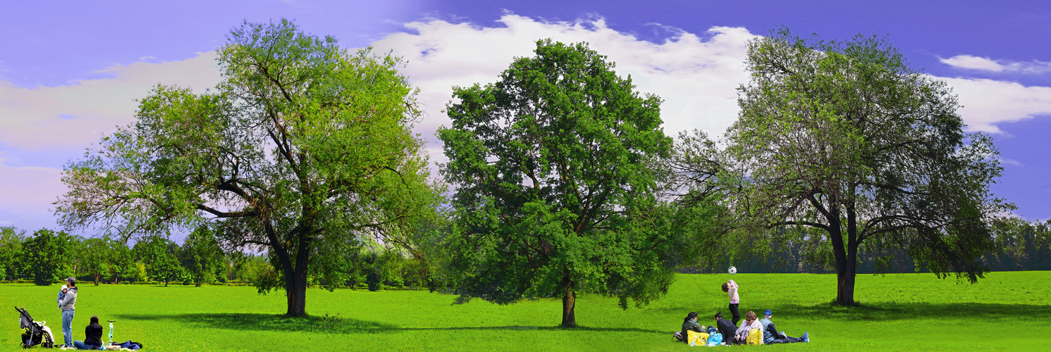 picnic park