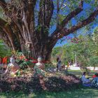 Picnic underneath the holy Bodhi Tree