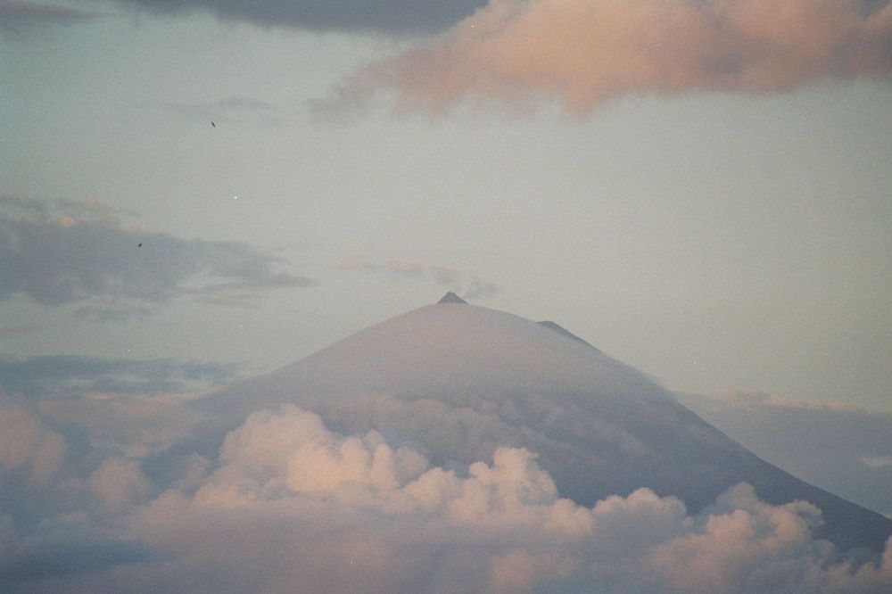 Pico Alto