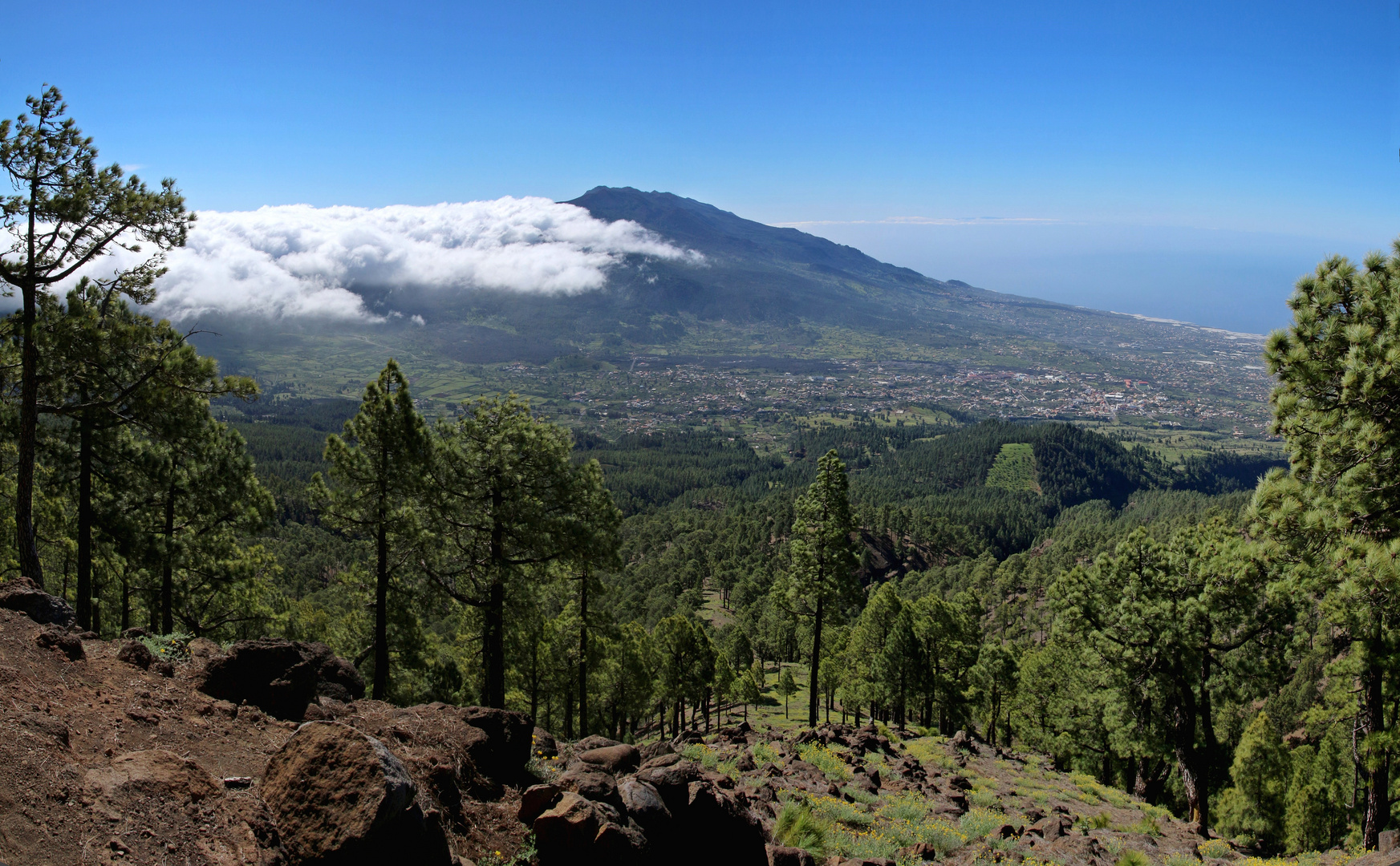 Pico Bejenado