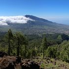 Pico Bejenado