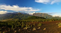 Pico Bejenado