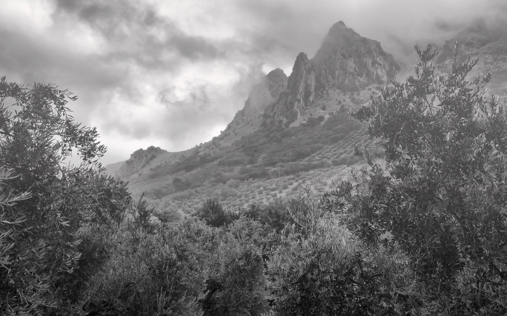 PICO BERMEJO