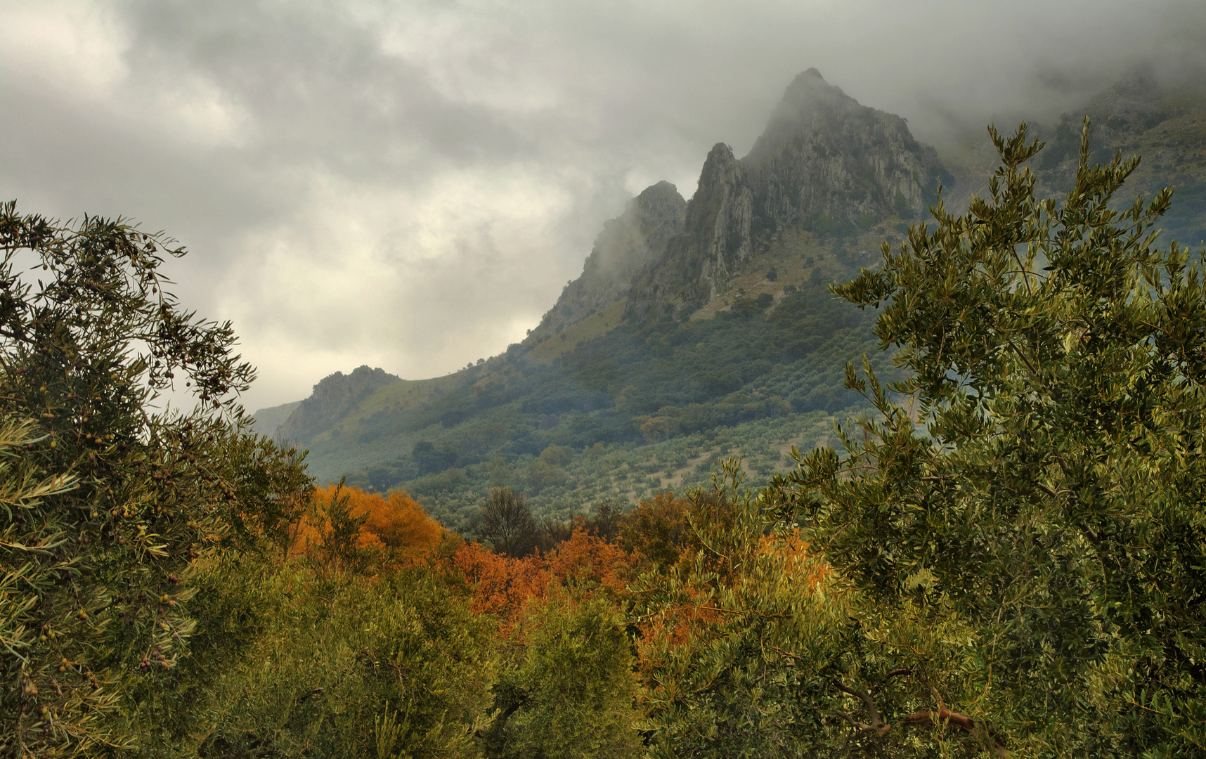 PICO BERMEJO....EN COLOR