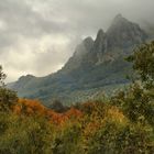 PICO BERMEJO....EN COLOR