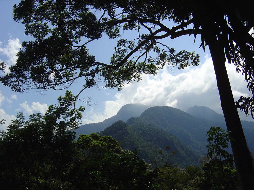 Pico Bonito Nationalpark
