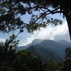 Pico Bonito Nationalpark