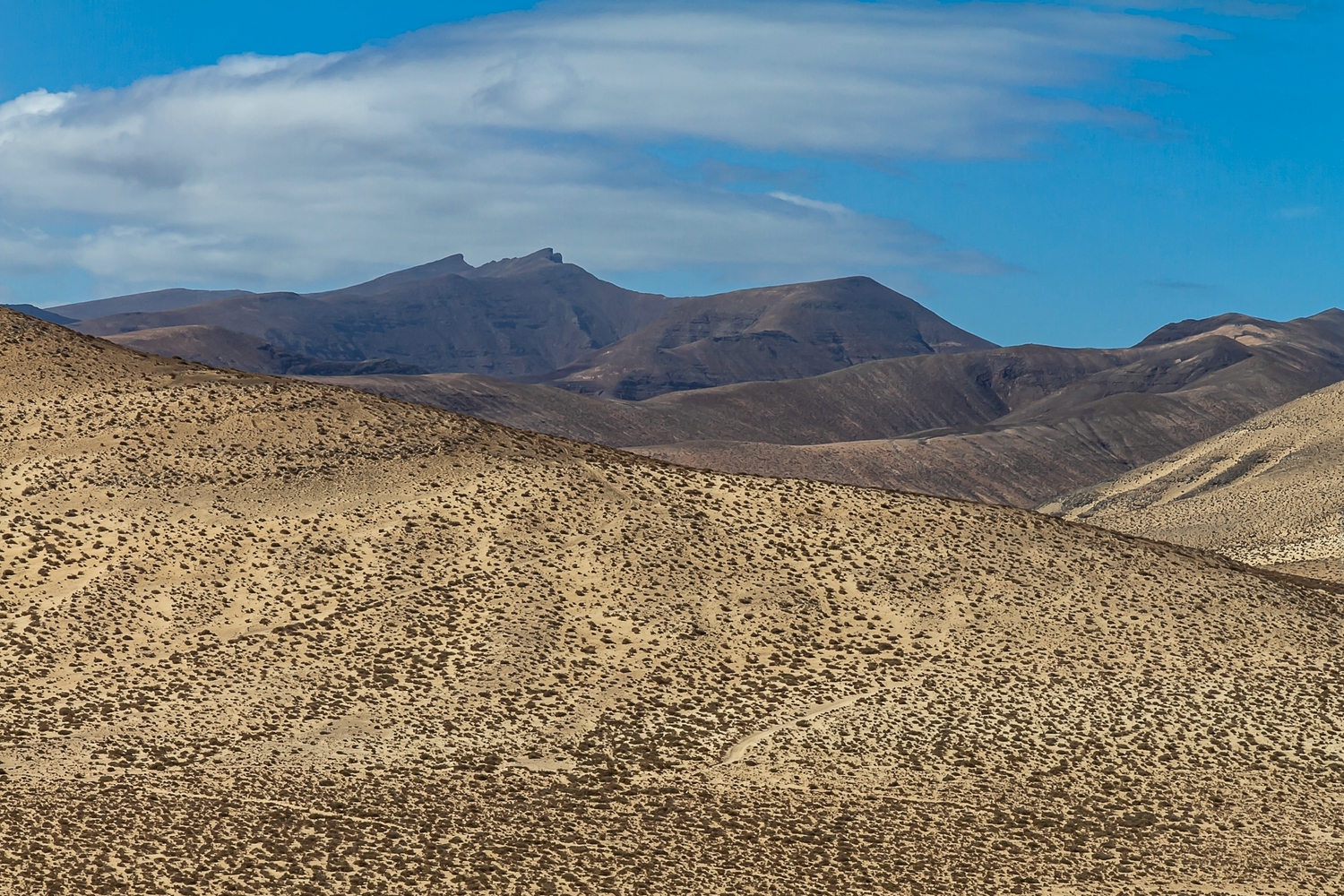 Pico de la Zarza