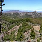 Pico de las Nieves