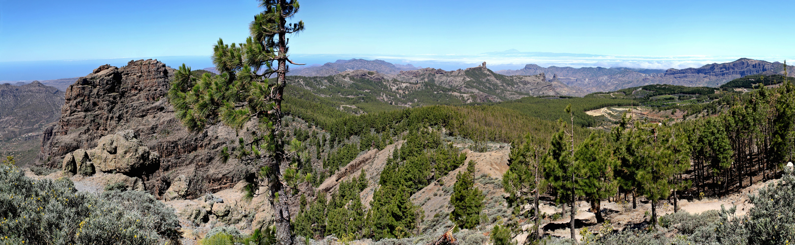 Pico de las Nieves