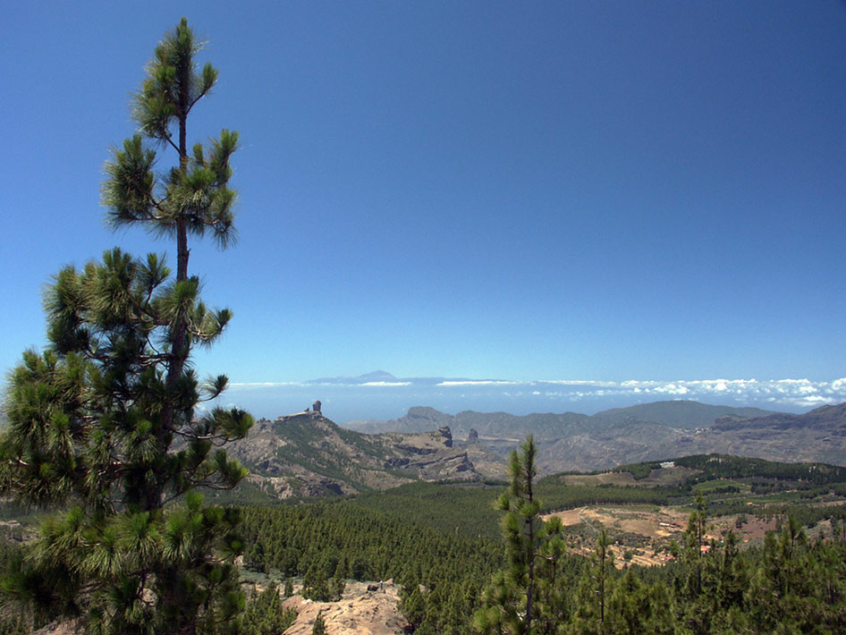 Pico de las Nieves