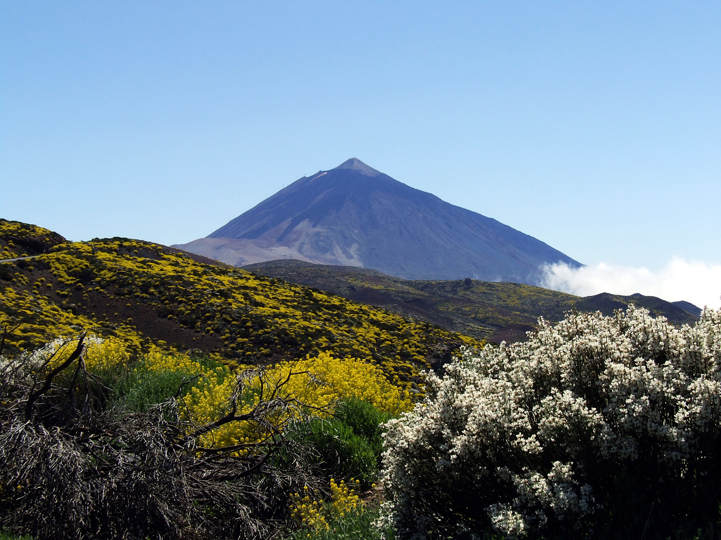 Pico de Teide