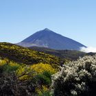 Pico de Teide