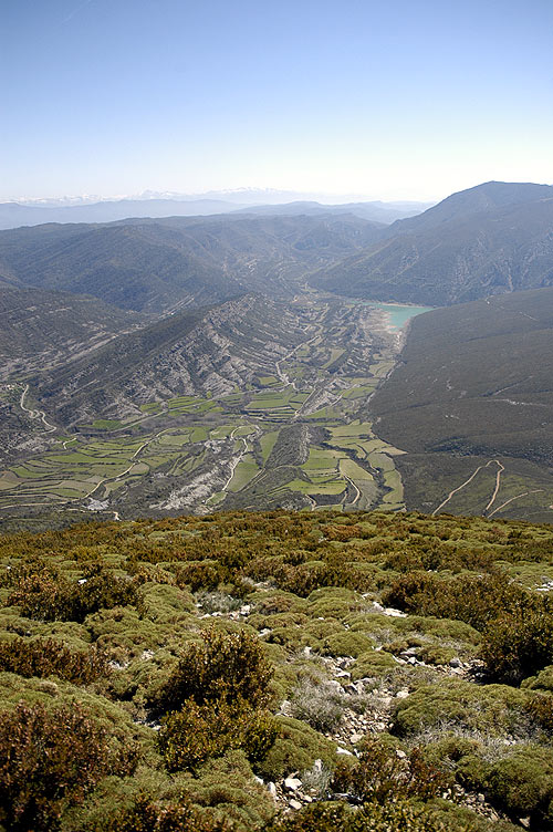 Pico del Águila