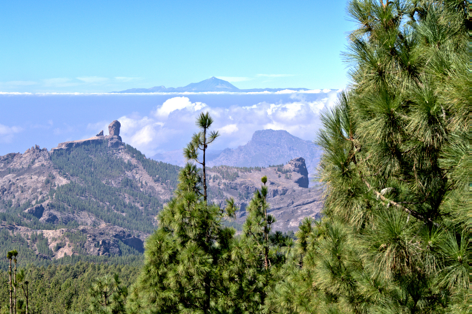 Pico del Pozo de las Nieves