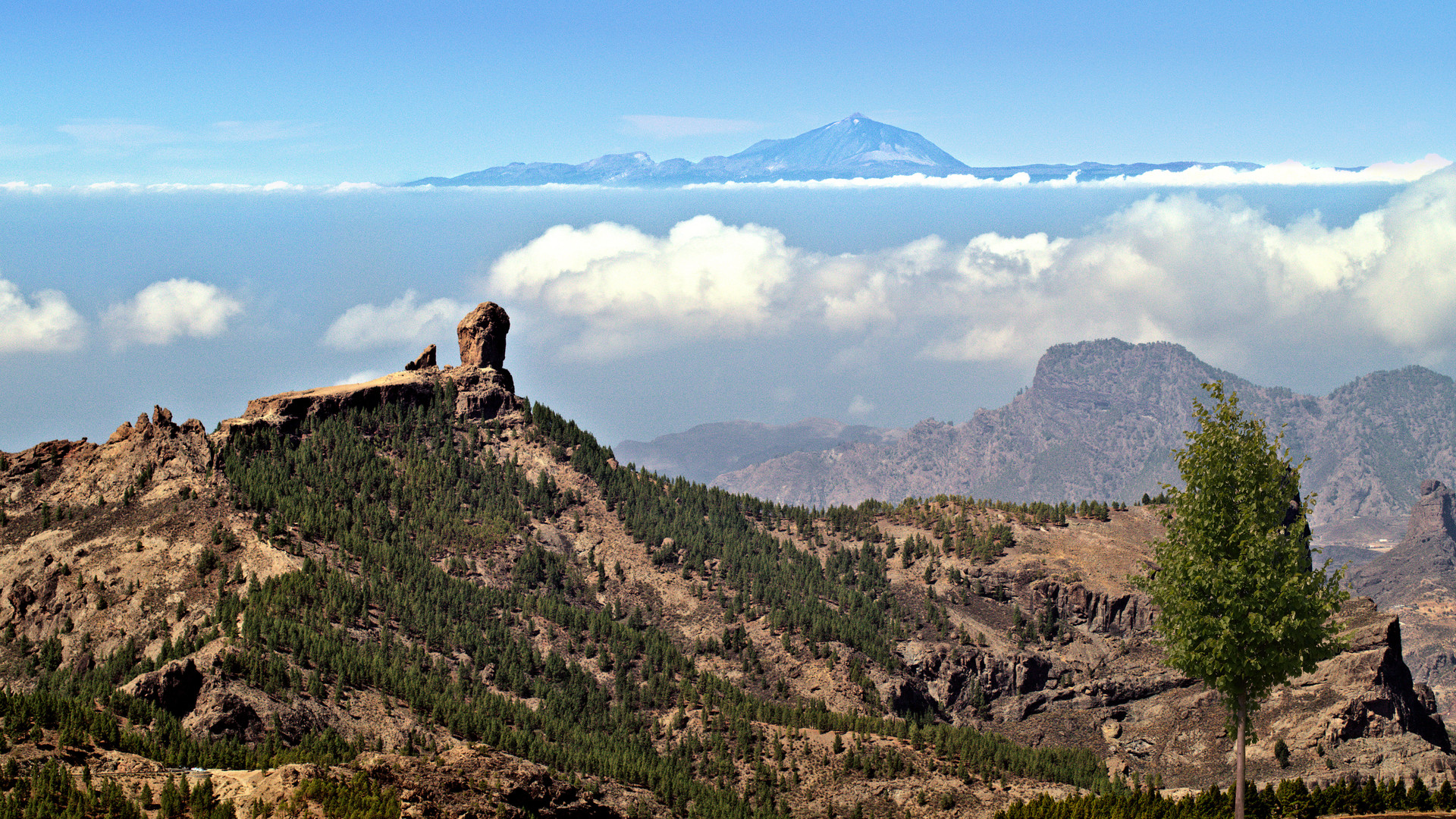 Pico del Pozo de las Nieves2