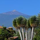 Pico del Teide (1)