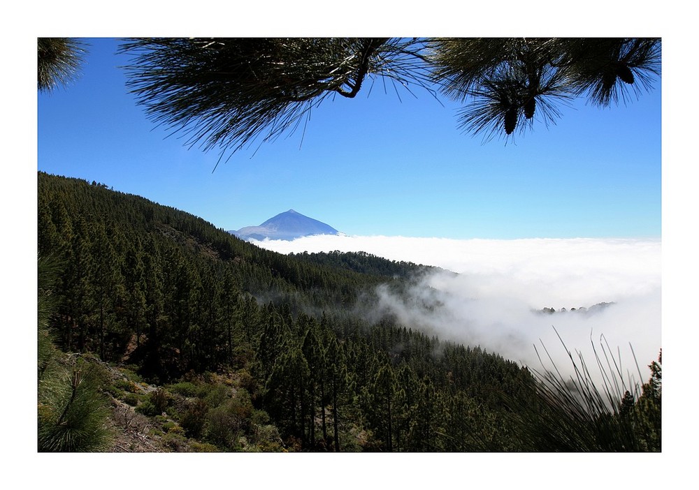 Pico del Teide