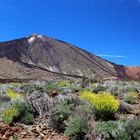 Pico del Teide