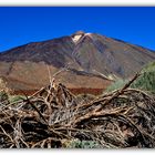 Pico del Teide 2013