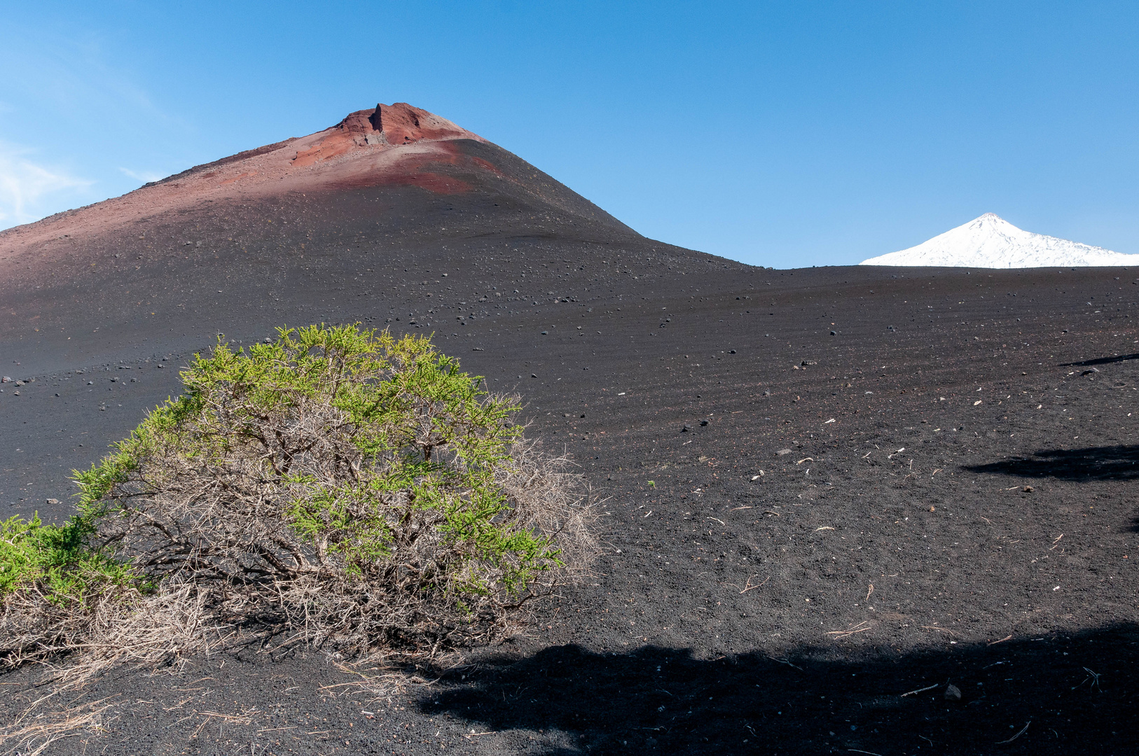 Pico del Teide