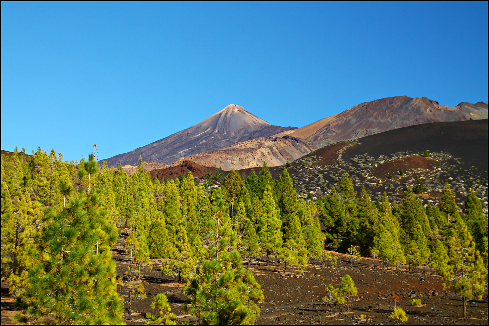 Pico del Teide