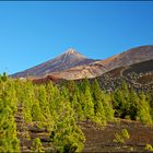 Pico del Teide