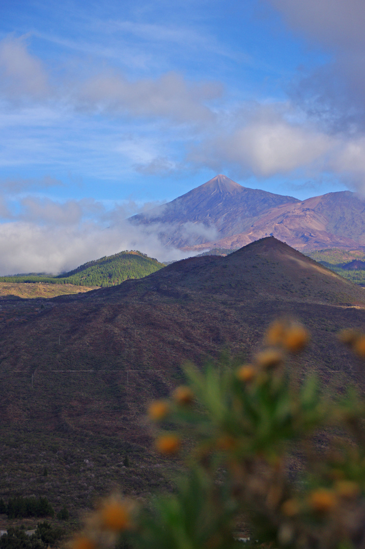 Pico del Teide