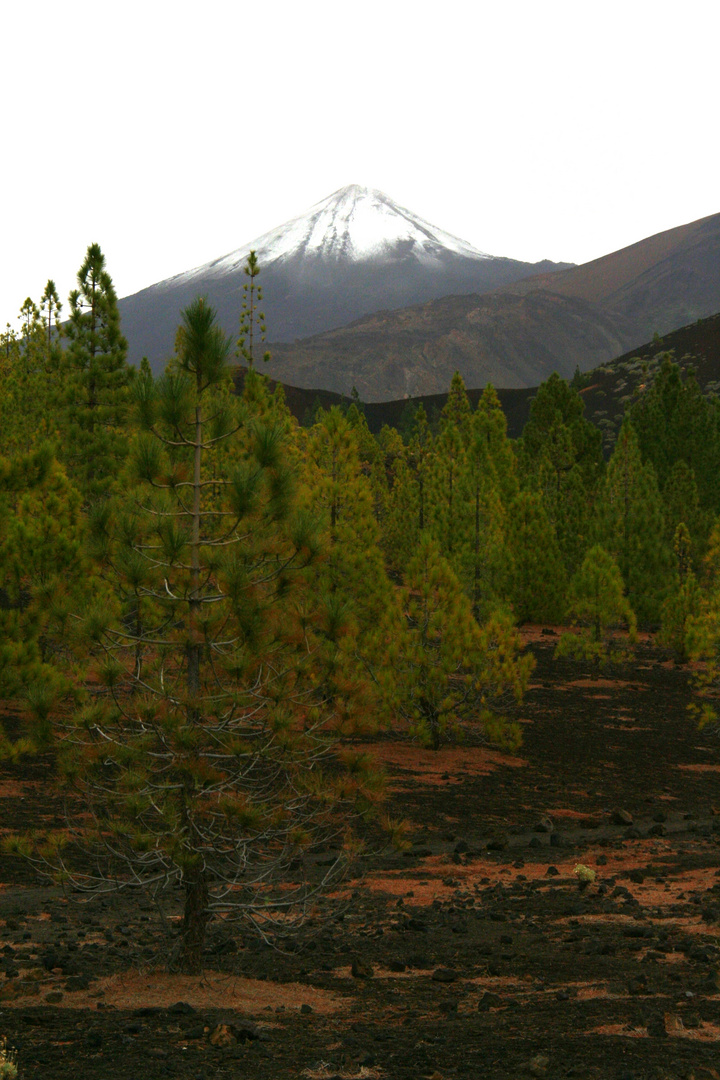 Pico del Teide