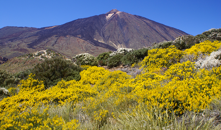 Pico del Teide