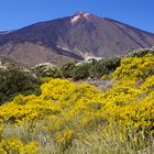 Pico del Teide