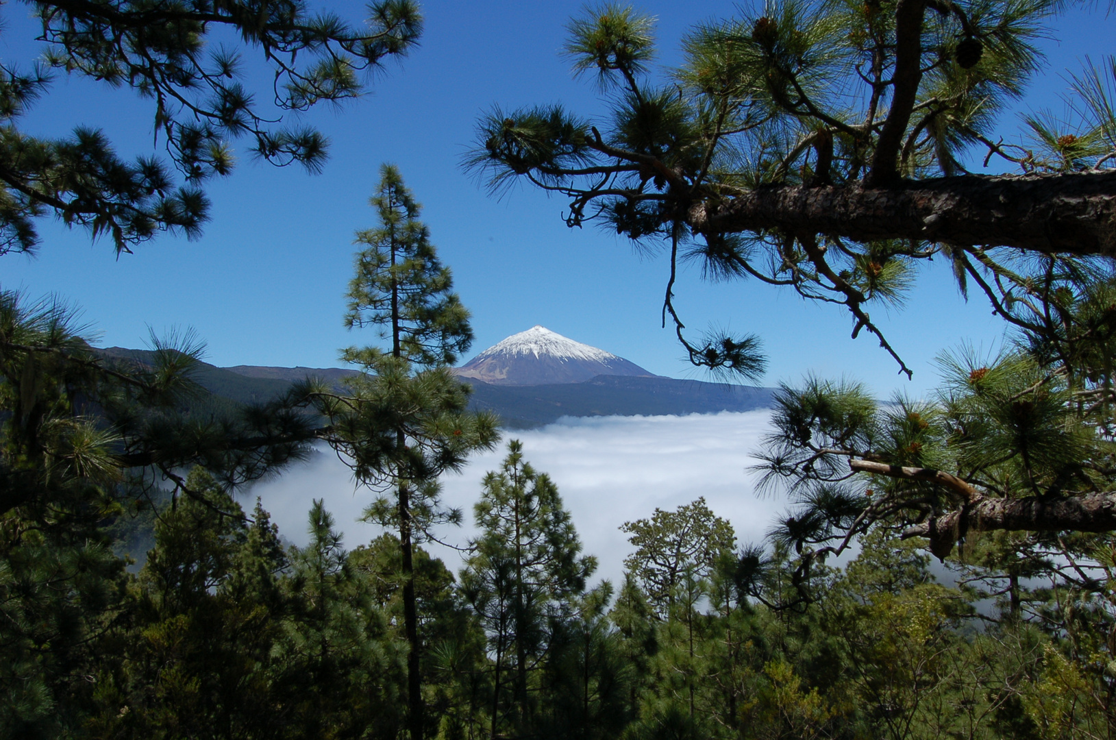 Pico del Teide