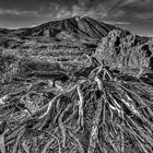 Pico del Teide