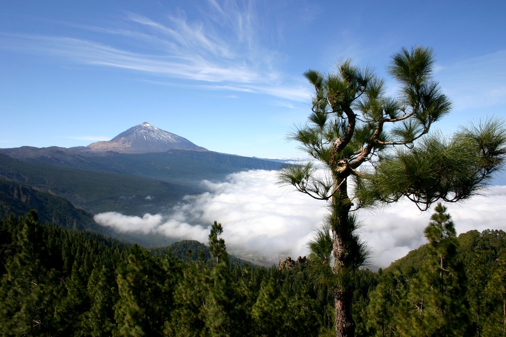 Pico del Teide