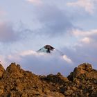 Pico del Teide