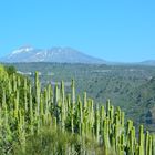 Pico del Teide