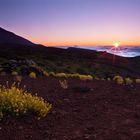 Pico del Teide