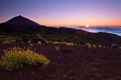 Pico del Teide