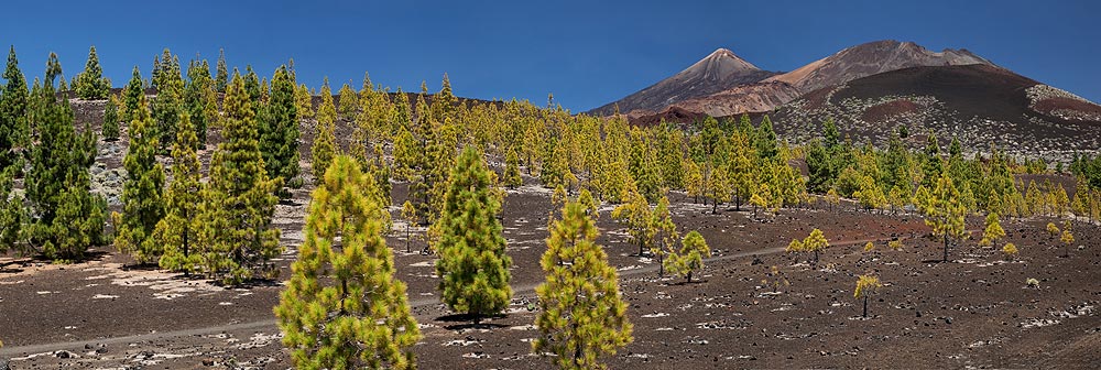 Pico del Teide