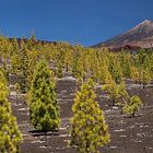 Pico del Teide