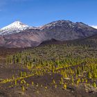 [ ... Pico del Teide ]