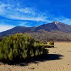 Pico del Teide