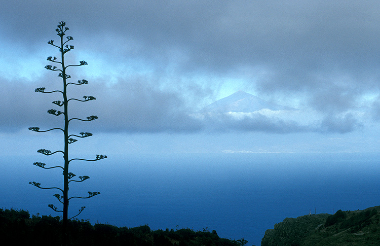 Pico del Teide