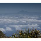 Pico del teide