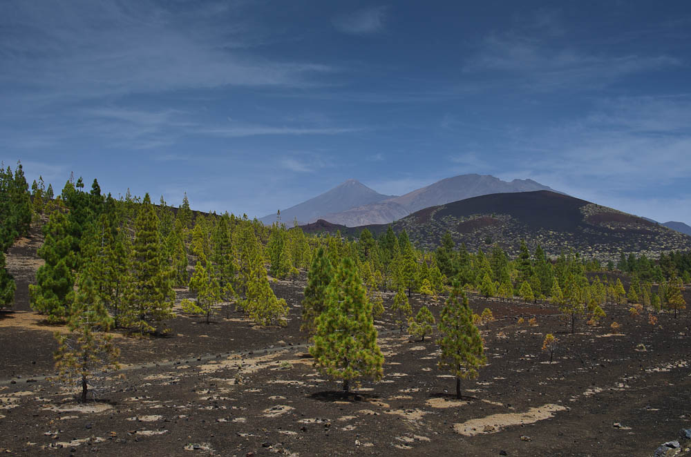 Pico del Teide II