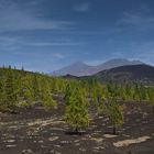 Pico del Teide II