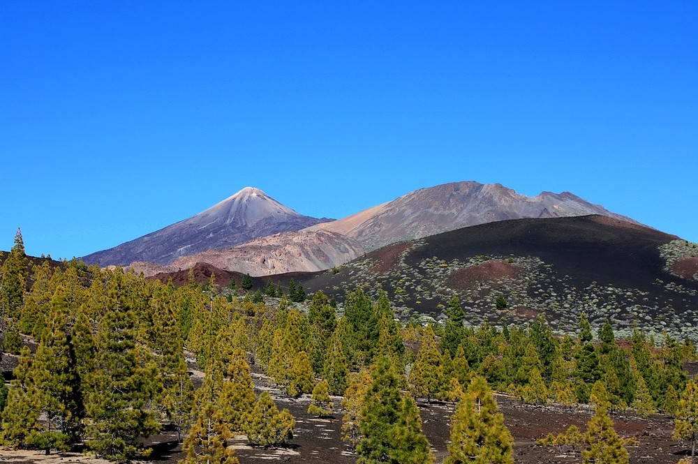 Pico del Teide & Pico Viejo