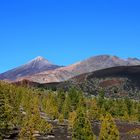 Pico del Teide & Pico Viejo